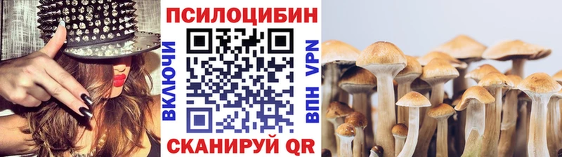 сайты даркнета официальный сайт  где купить наркоту  Белокуриха  Псилоцибиновые грибы Magic Shrooms 