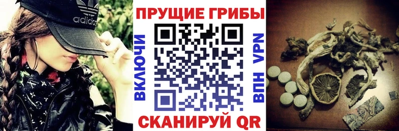 Псилоцибиновые грибы мухоморы Белокуриха
